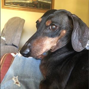 Meet your Posher, Robin